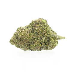 copia de Amnesia Haze CBD