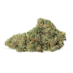 copia de OG Kush CBD