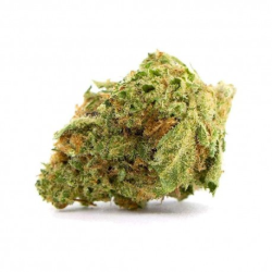 OG Kush CBD