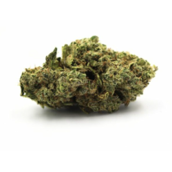 copia de OG Kush CBD