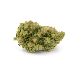 Amnesia Haze CBD